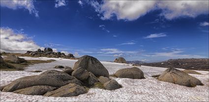 Near Seamans Hut - Kosciuszko NP - NSW T (PBH4 00 10519)